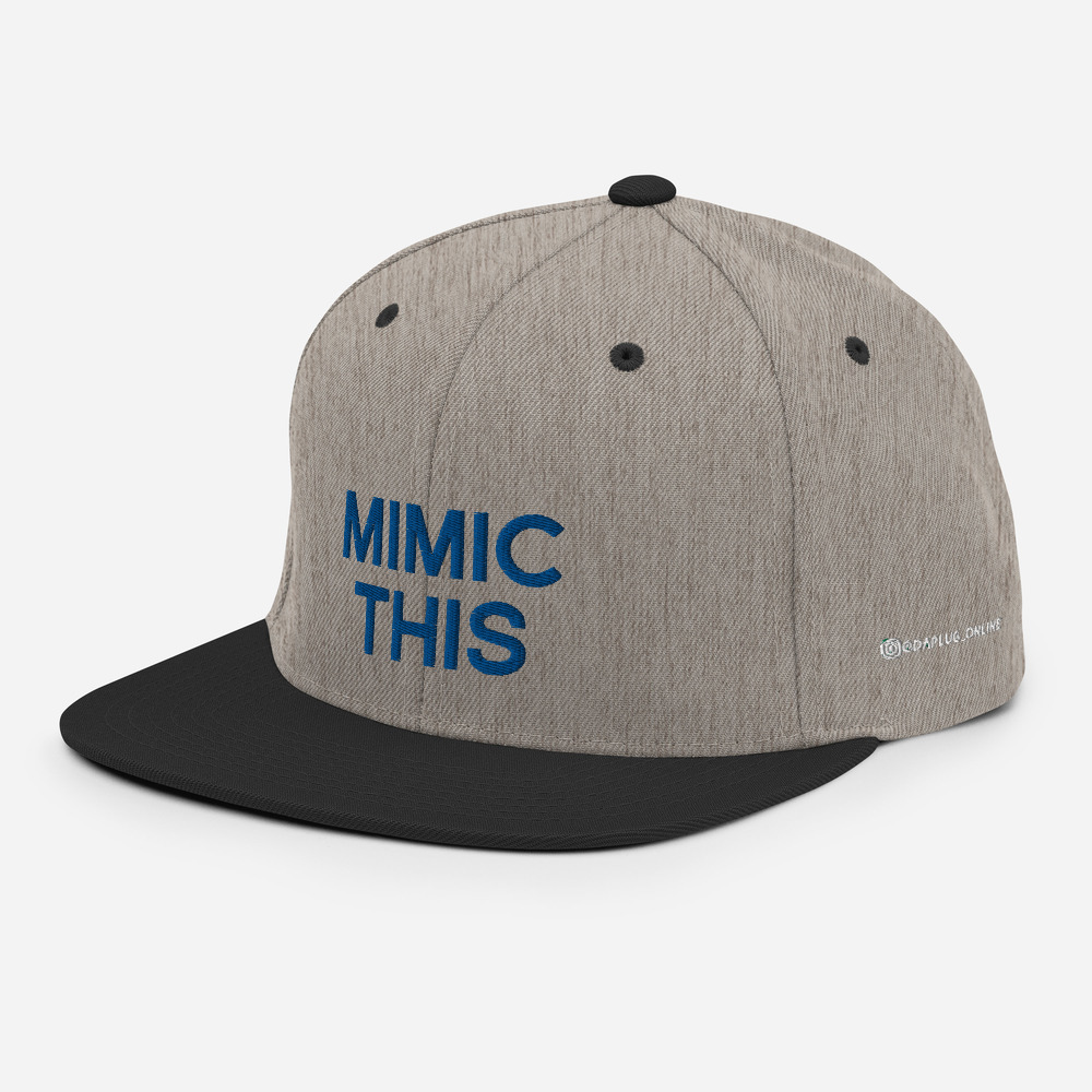 Mimic This Snapback Hat - Image 45