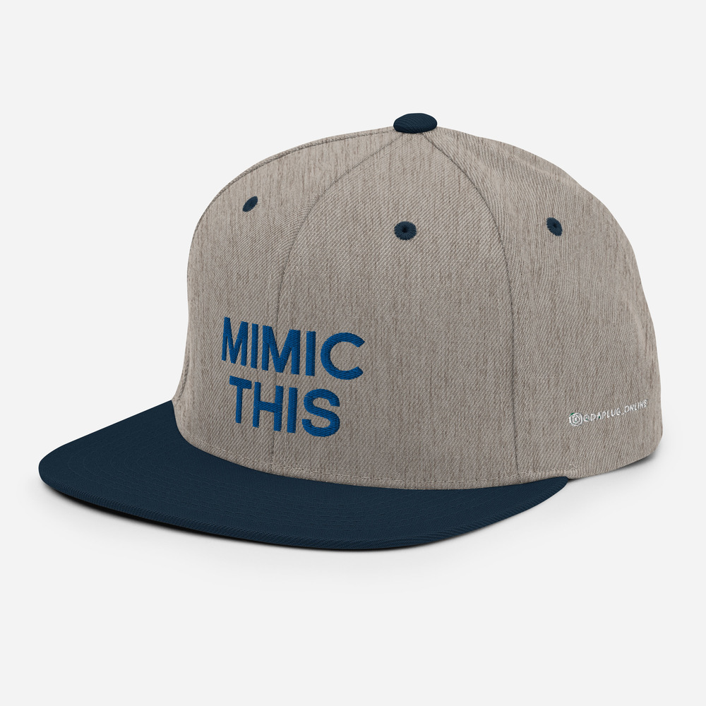 Mimic This Snapback Hat - Image 51
