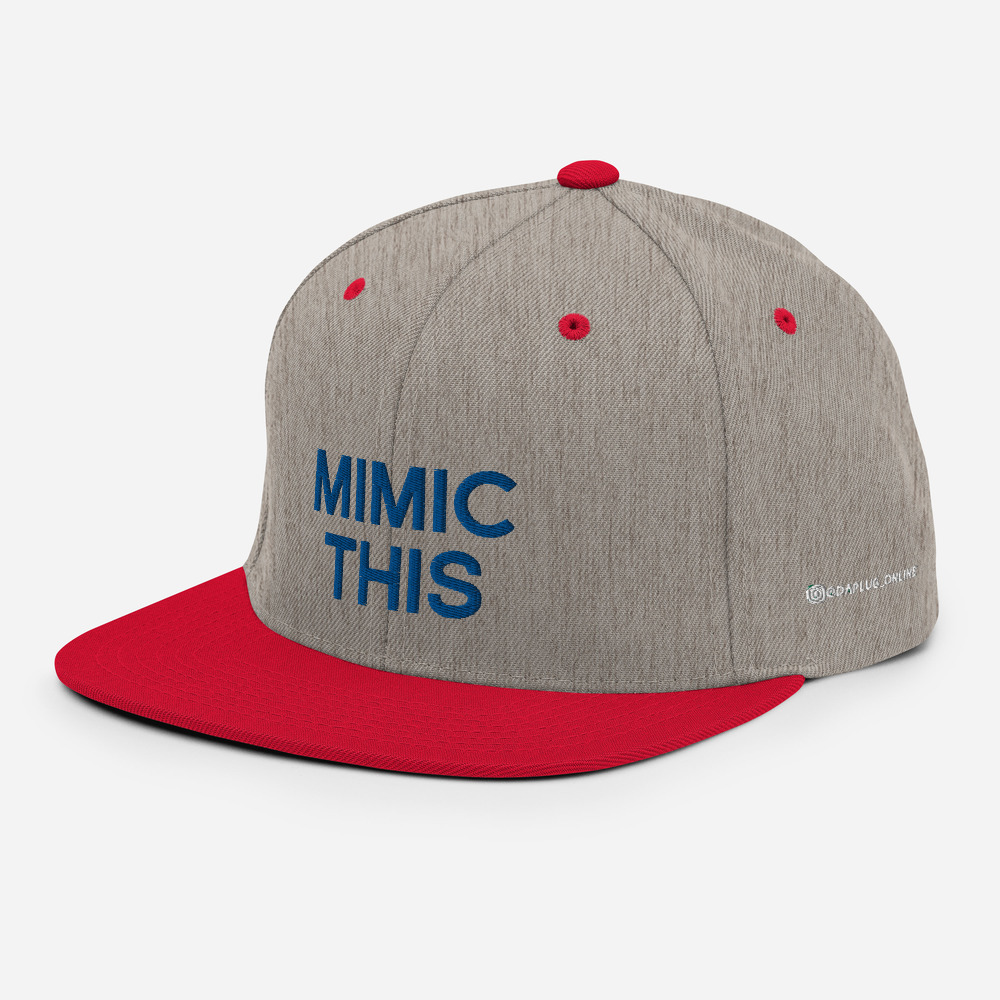 Mimic This Snapback Hat - Image 48