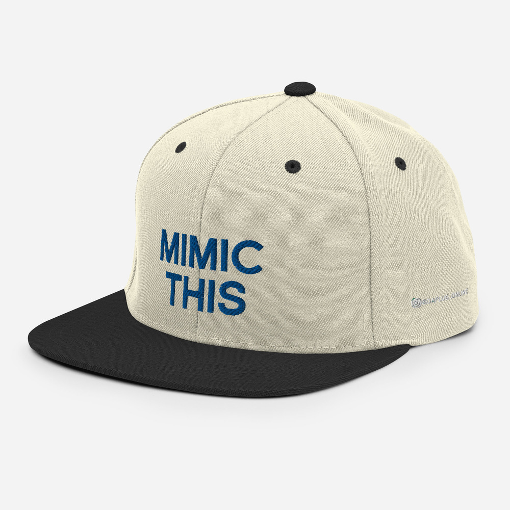 Mimic This Snapback Hat - Image 60