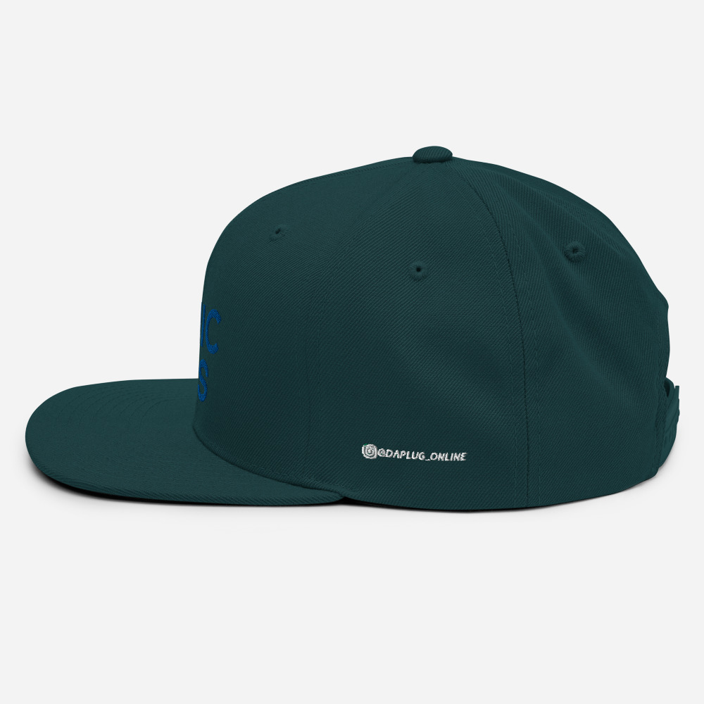 Mimic This Snapback Hat - Image 15